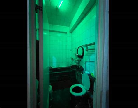 綠色廁所 失眠水晶